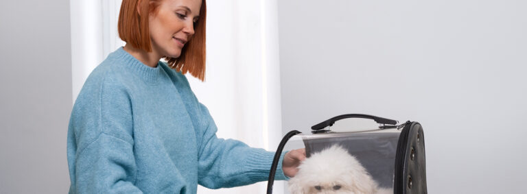 The Best Flea Medicine for animal